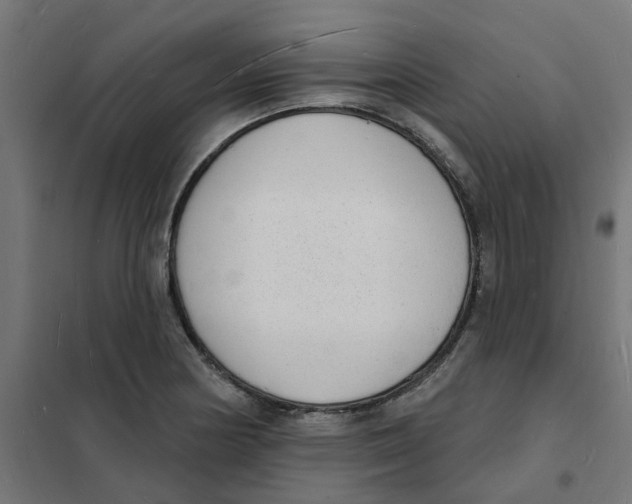 X0000101691178200808071126