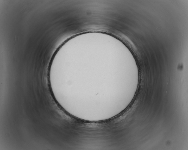 X0000101691182200808071126