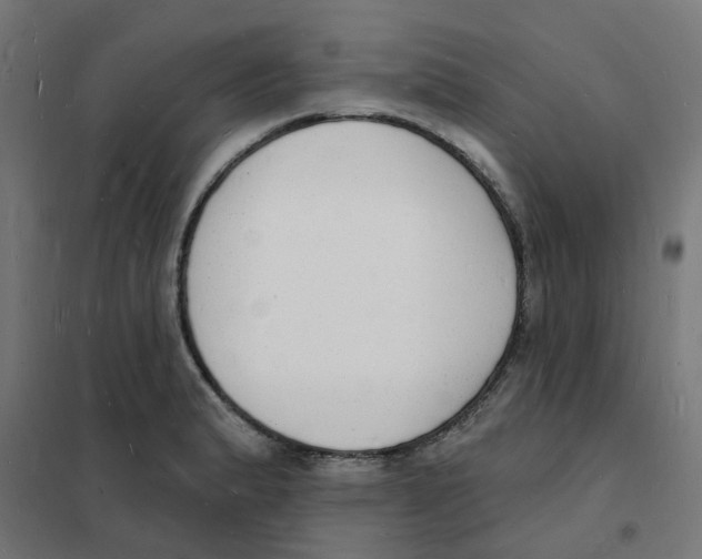 X0000101691183200808071126