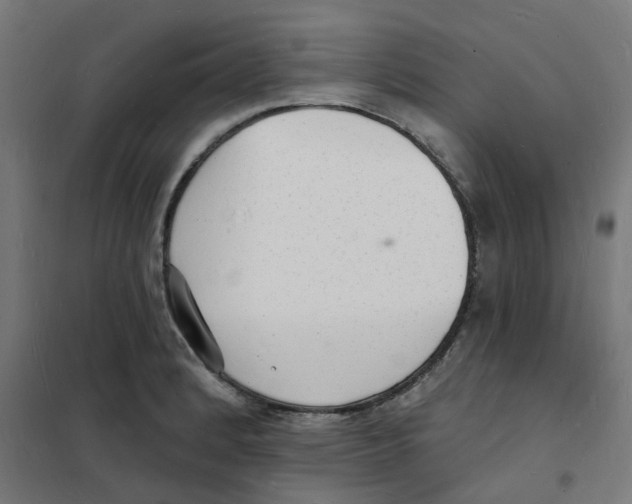 X0000101691184200808071126