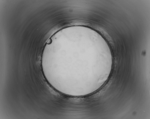 X0000101691185200808071126