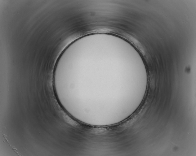 X0000101691186200808071126