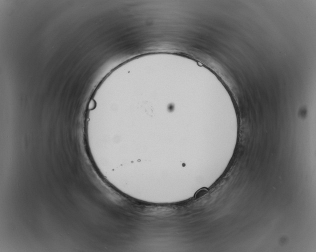 X0000101691187200808071126