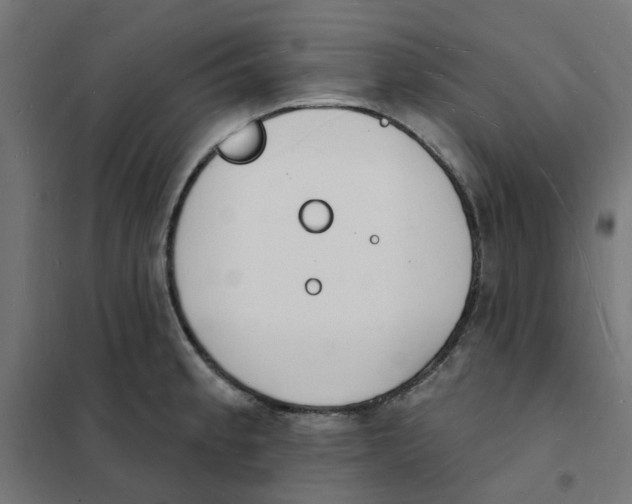 X0000101691189200808071126