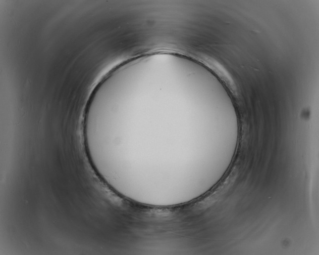 X0000101691190200808071126