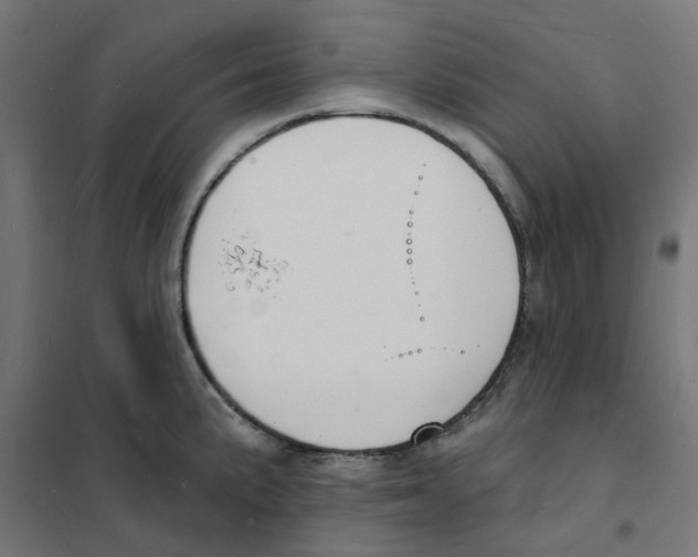 X0000101691191200808071126