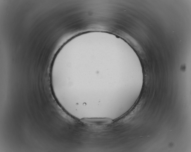 X0000101691192200808071126