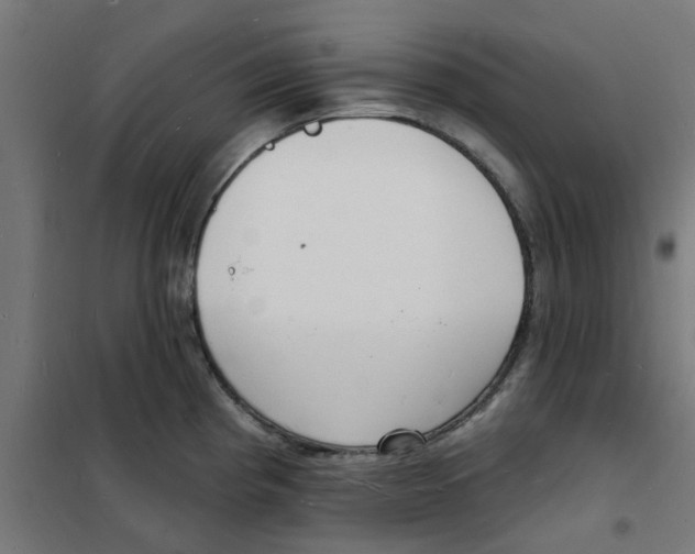 X0000101691193200808071126