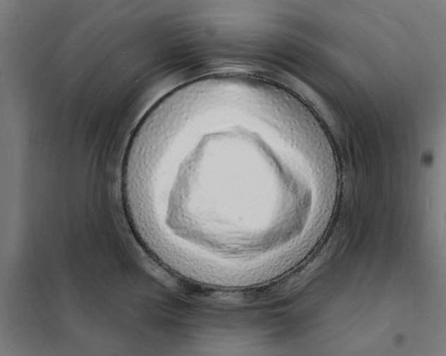 X0000101691194200808071126