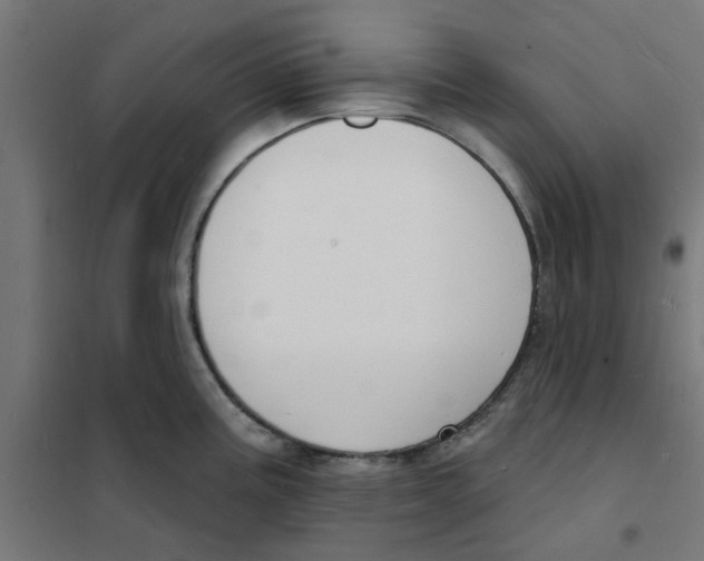 X0000101691195200808071126