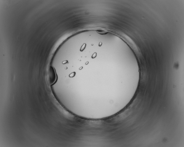 X0000101691196200808071126