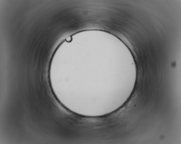 X0000101691197200808071126