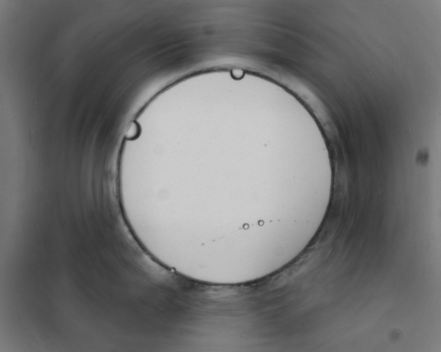 X0000101691199200808071126