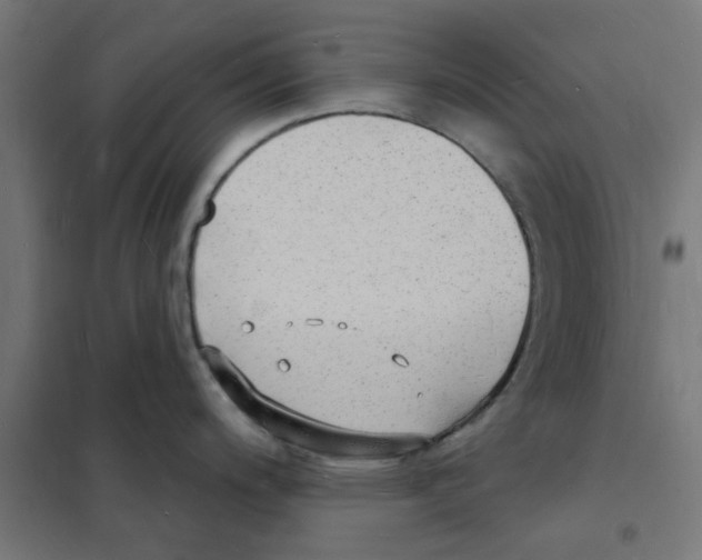 X0000101691200200808071126