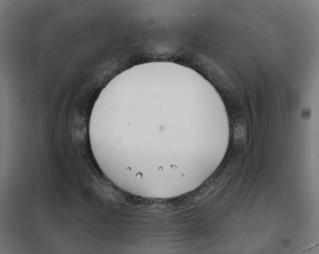 X0000101691204200808071125