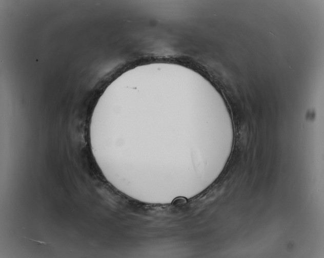 X0000101691205200808071125