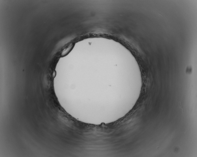 X0000101691207200808071125