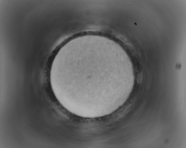 X0000101691208200808071125