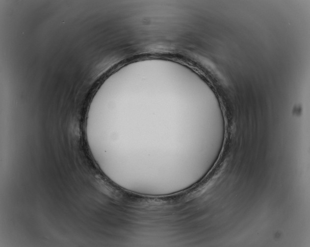 X0000101691209200808071125