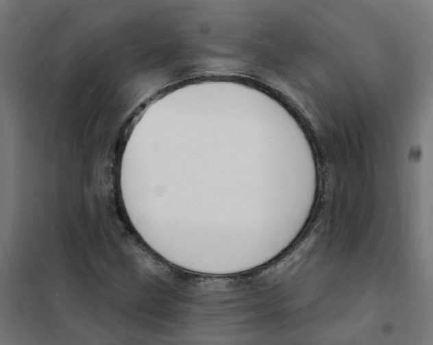 X0000101691211200808071125