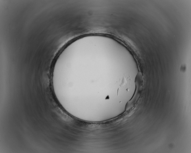 X0000101691212200808071125