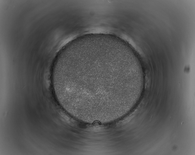 X0000101691213200808071125