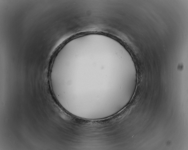 X0000101691216200808071125