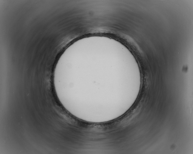 X0000101691217200808071125