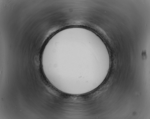 X0000101691218200808071125