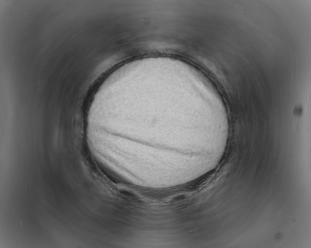 X0000101691219200808071125