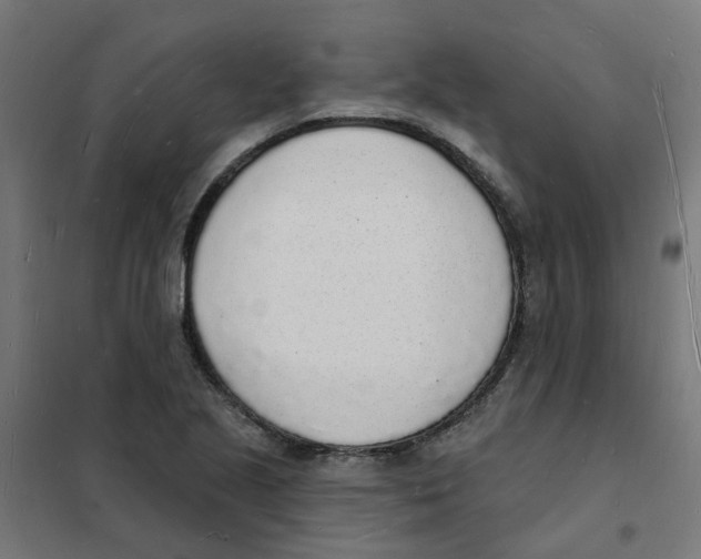 X0000101691221200808071125