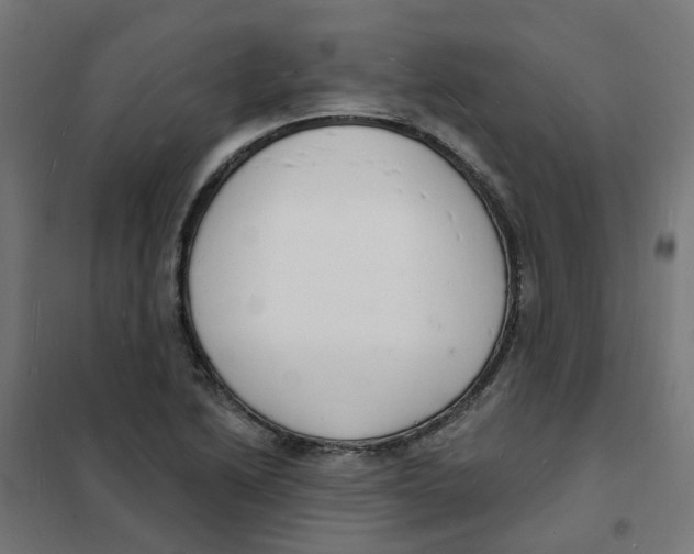 X0000101691222200808071125