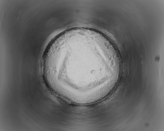 X0000101691223200808071125