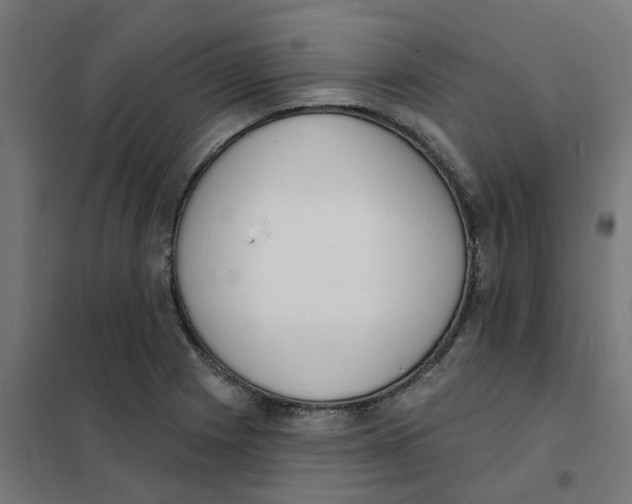 X0000101691225200808071125