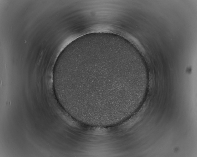 X0000101691226200808071125