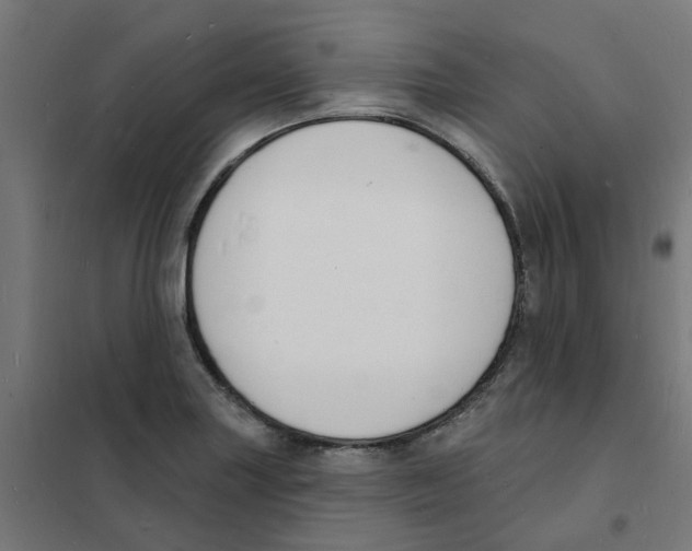 X0000101691227200808071125