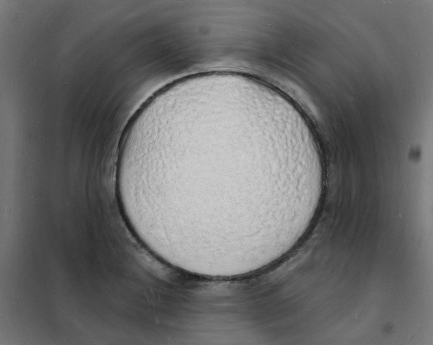 X0000101691228200808071125