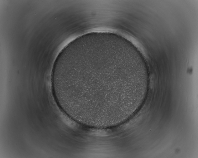 X0000101691229200808071125