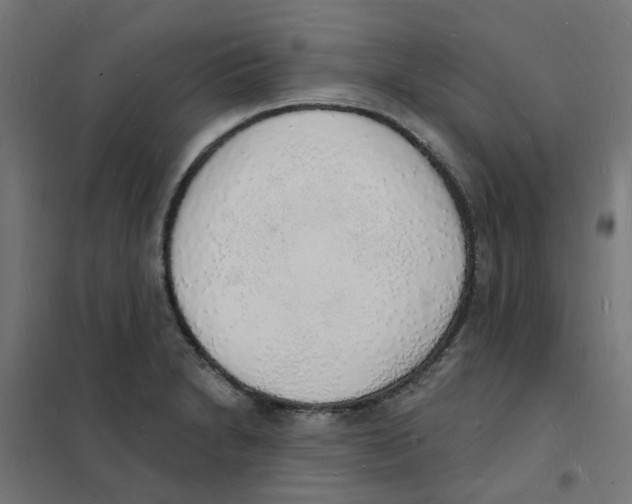 X0000101691230200808071125