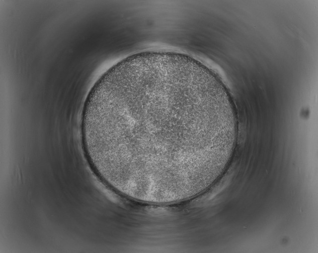 X0000101691231200808071126