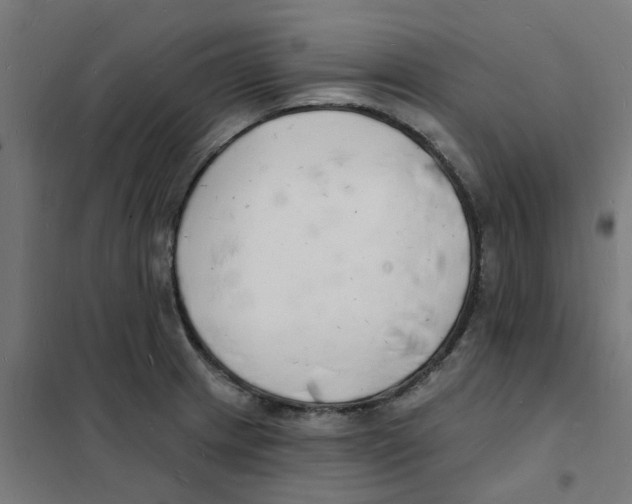 X0000101691233200808071126