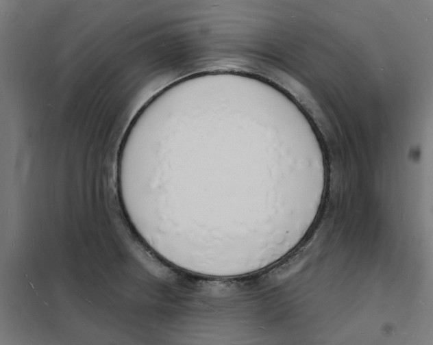 X0000101691234200808071126