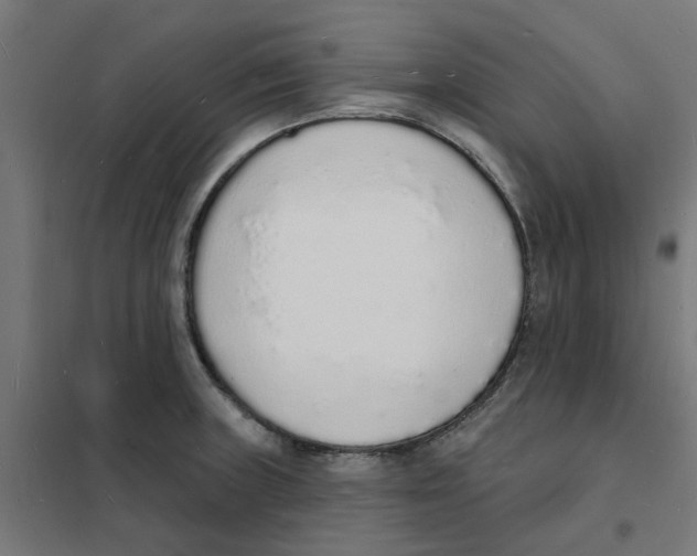 X0000101691235200808071126