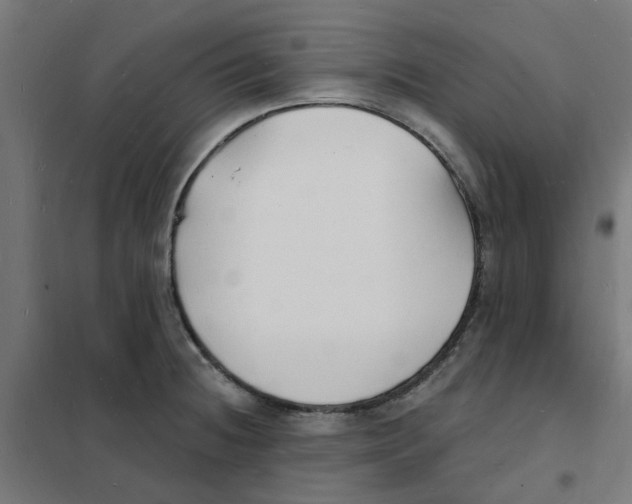 X0000101691236200808071126