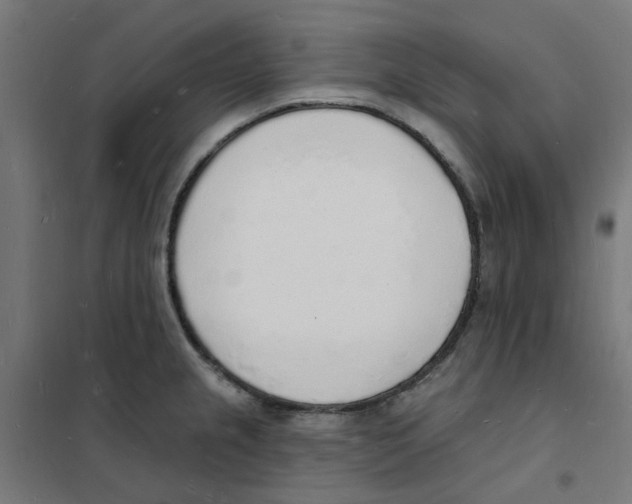 X0000101691237200808071126