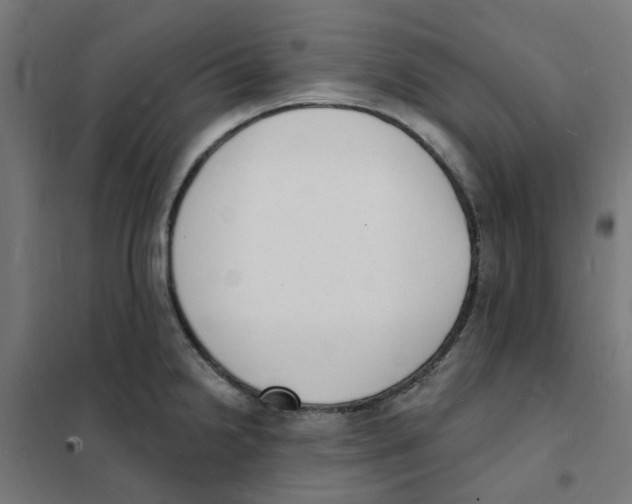 X0000101691238200808071126