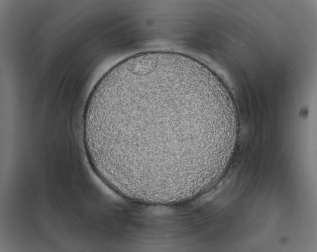 X0000101691239200808071126