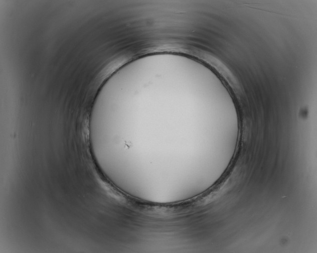 X0000101691241200808071126