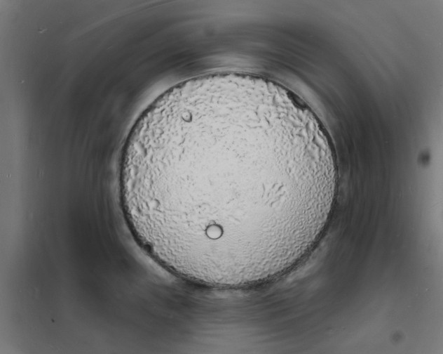 X0000101691243200808071126