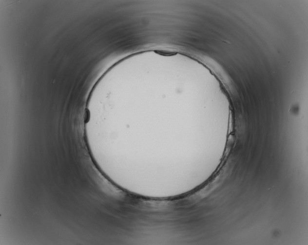 X0000101691244200808071126